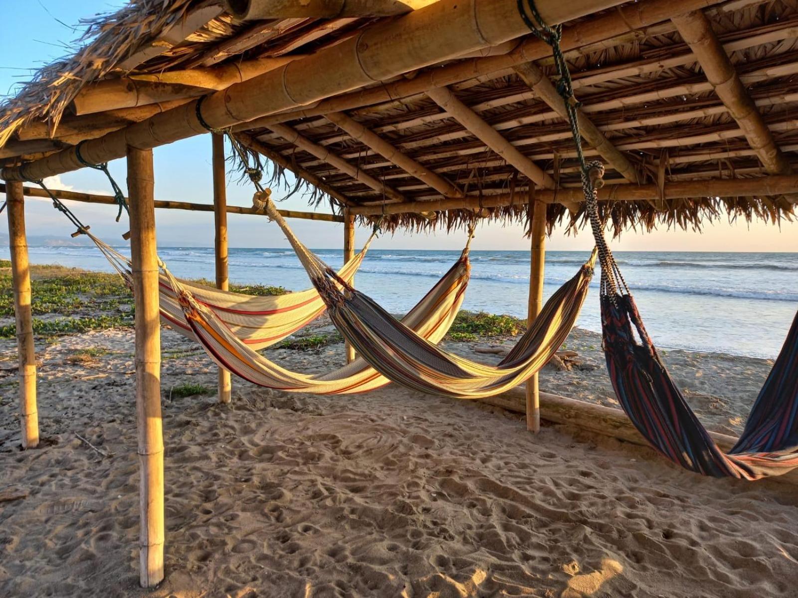 Canoa South Beach Екстериор снимка